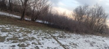 Продажа участков: 8 соток, Для сельского хозяйства, Красная книга — 7