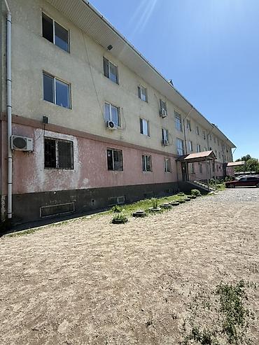 2021: 1 комната, 24 м², Элитка, 3 этаж, Косметический ремонт — 9