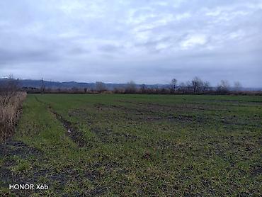 Torpaq sahələrinin satışı: 200 sot, Kənd təsərrüfatı, Texniki pasport — 9