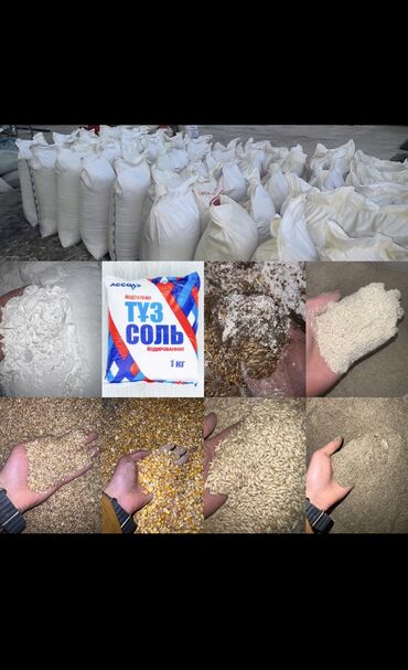 соль для животных: Продаю КОМБИКОРМ Био корм (6в1) состав ячмень кукуруза пшеница жмых