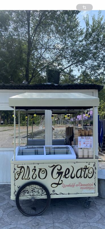 оборудование мороженое: Продаю конструкцию на колесах для продажи мороженого, вместе с