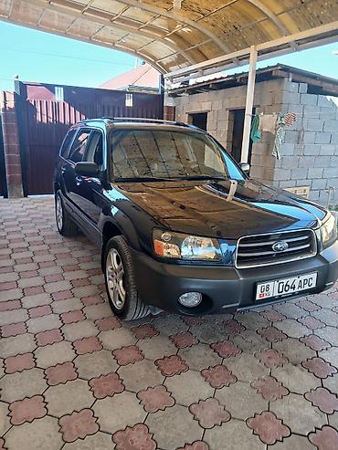 hongqi e: Subaru Forester: 2004 г., 2.5 л, Автомат, Бензин, Кроссовер — 3