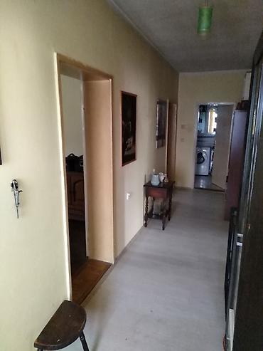 prodaja kuca vrbas: Renovirana kuća 120 m2 na 14 ara sa zasadom paulonije - Turija kuća u — 3