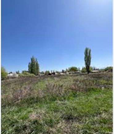 дом на иссык куле купить: 80 соток, Для бизнеса, Договор купли-продажи