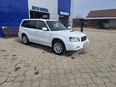 Subaru: Subaru Forester: 2004 г., Универсал — 9
