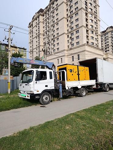 декоративный газон на стену: Автокран, Hyundai, 2002 г. — 6
