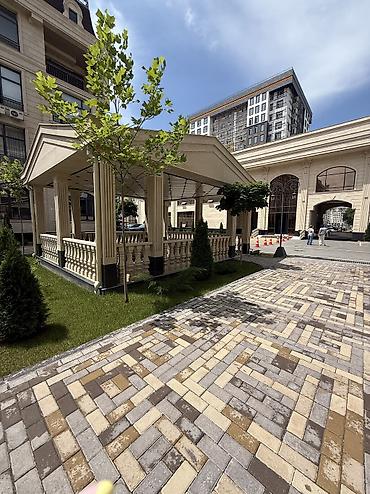 lux: 3 комнаты, 98 м², Асанбай мкр Элитка, 1 этаж, ПСО (под самоотделку) — 5