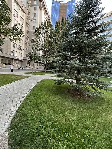Долгосрочная аренда квартир: Сдается двушка со всеми условиями СК .Авангард Стил . ЖК ФРУНЗЕ Адрес — 4