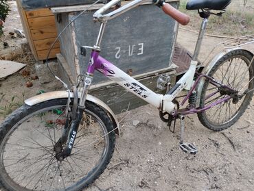 Svitşotlar: Svitşot, 4XL — 38