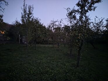 квартира в аренду в баку: 5 sot, Tikinti, Mülkiyyətçi, Kupça (Çıxarış)