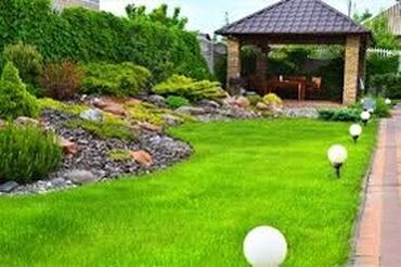 копка огорода: Услуги садовника наведем чистоту в вашем огороде ; косим траву