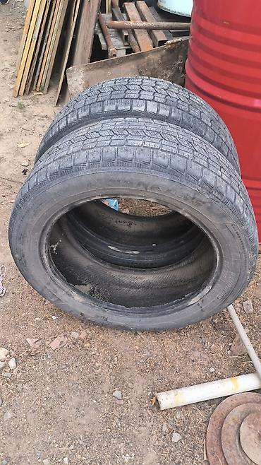 e34 4 4: Зимние шины (липучки) без шипов, размер 215/55 R17, индекс — 4