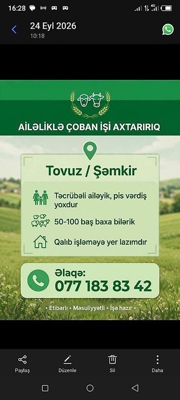 Kənd təsərrüfatı: Çoban, 30 yaş, 5 ildən artıq təcrübə — 1