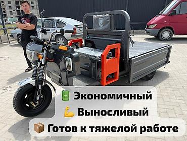 грузовой трицикл: Легкий грузовик, Новый — 4