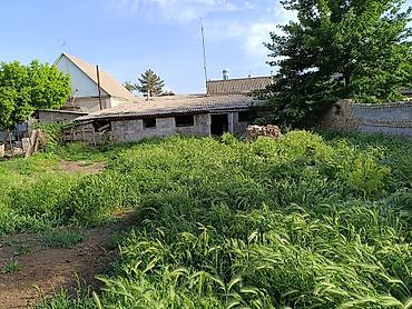 Продажа коттеджей и домов: Дом с хозяйственным двором - Планировка: прихожая, кухня — 6