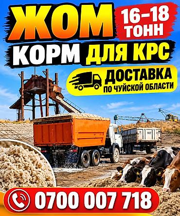куплю корм для животных: Жом — корм для КРС. Отгрузка самосвалами 16–18 тонн. - Питательный — 1