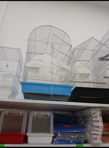 Qəfəslər: Her qiymete her olcude yeni qefeslermiz var satisda bayram edirimleri -da lalafo.az — 10 Qəfəslər: Her qiymete her olcude yeni qefeslermiz var satisda bayram edirimleri — 10