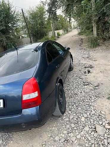 диска ниссан примера: Nissan Primera: 2002 г., 1.9 л, Автомат, Бензин, Седан — 9