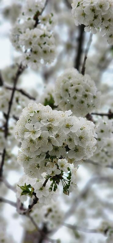 Фотографы, видеооператоры: Фотограф, видеооператор. 19 — 4