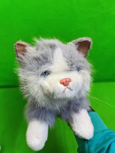 пушистые собачки: 🐱 Пушистые котята — мягкие игрушки, в которые невозможно не влюбиться! — 2