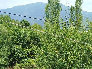 serifzadede satilan evler: 12 sot, Tikinti, Mülkiyyətçi, Kupça (Çıxarış) — 8