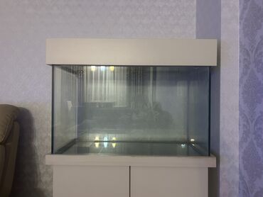 sobo wp 6001: Dördbucaq akvarium, Boş, 140 l