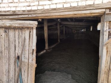 Продажа участков: 15 соток, Красная книга, Договор купли-продажи, Тех паспорт at lalafo.kg — 21 Продажа участков: 15 соток, Красная книга, Договор купли-продажи, Тех паспорт — 21