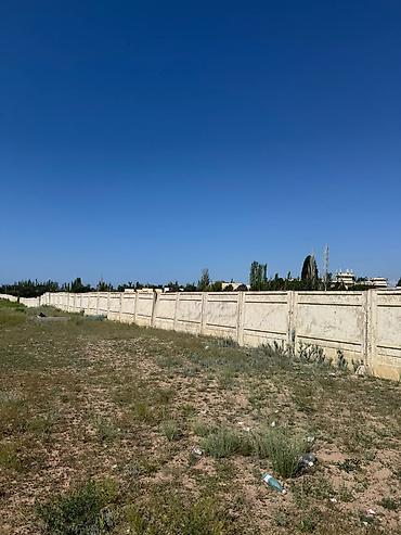 20 соток, Сатып алуу-сатуу келишими, Кызыл китеп — 5