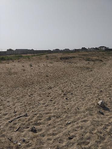 bakıda: Turkan qes.Qizilqumda.denizden 180 metr arali.Denize panarama goruntu — 4
