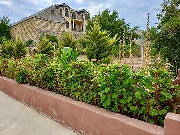 Həyət evləri və villaların satışı: 4 otaqlı, 1000 kv. m, Yeni təmirli — 11