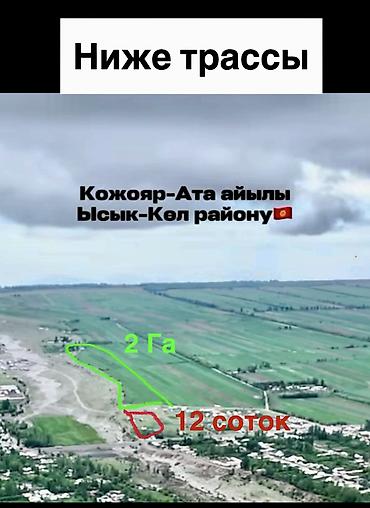 алтын казык ж м: 212 соток, Для бизнеса, Красная книга, Договор купли-продажи — 2