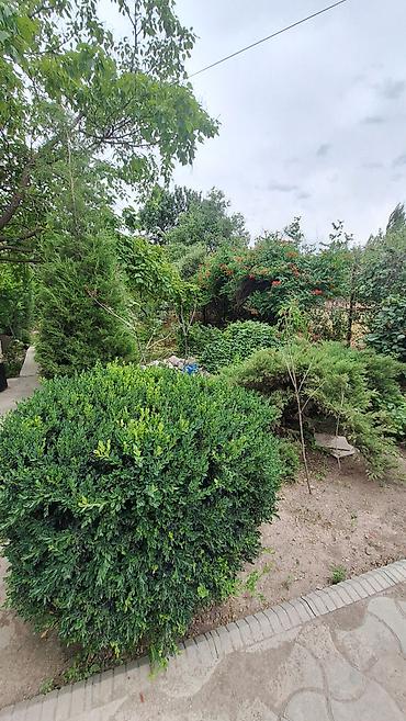 Продажа дачи: ☎️0•703•88•88•00 🌿 Продаются два участка по 5 соток в селе Бек-тоо На — 14