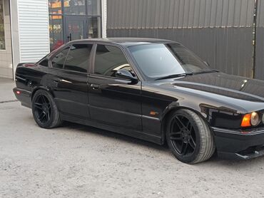 Автомойки: Автомойка | Тонировка — 17