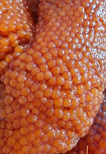 duz satışı: Məhsul: Qırmızı kürü (səllərdə və bankalarda) Təsvir: - Təbii — 1