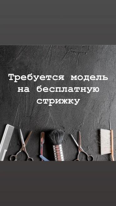 прием бутылок арпа бишкек: Требуются модели на бесплатную стрижку будет стричь стажер под
