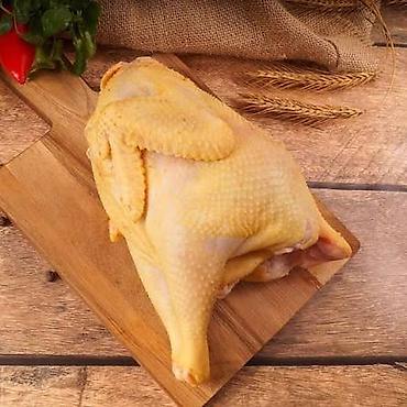 курен: КУРИЦА БУЛЬОННАЯ ДОМАШНЯЯ РУЧНОЙ ОЩИПКИ ПРИ ЗАКАЗЕ КУРИЦЫ 1КИЛЛОГРАМ — 1