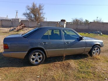 инструмент для кожа: Mercedes-Benz W124: 1989 г., 2.3 л, Механика, Бензин, Седан