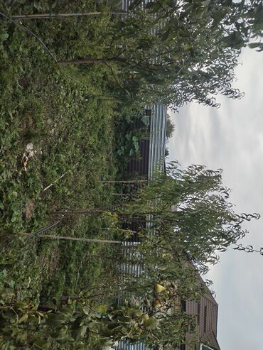 Həyət evləri və villaların satışı: 1 otaqlı, 36 kv. m, Yeni təmirli — 27