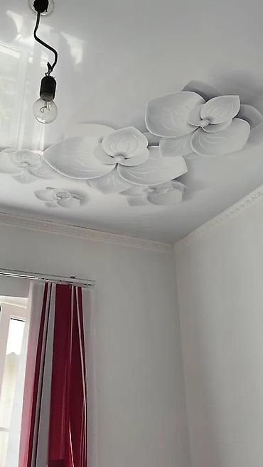 Натяжной потолок: Натяжной потолок 3D потолки, Глянцевое, Матовое Бесплатная консультация, Гарантия, Бесплатный замер — 5