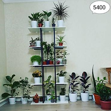 Тележки-органайзеры на колесах: Этажерки/стеллажи для комнатных растений - Дизайн: современные — 14