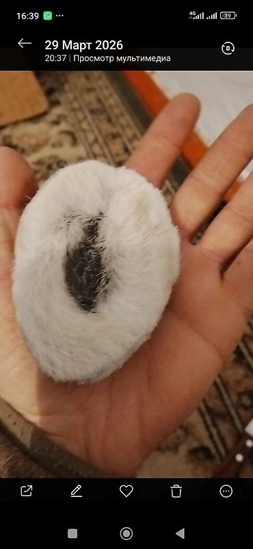 сумки женские б: Волчая Матка Описание: - Основа: овальный мягкий помпон из — 3