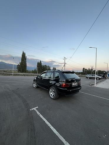 BMW: BMW X5: 2003 г., 3 л, Дизель, Кроссовер — 12