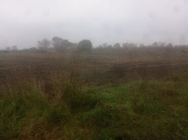 Torpaq sahələrinin satışı: 400 sot, Kənd təsərrüfatı, Maklerlər narahat etməsin — 3