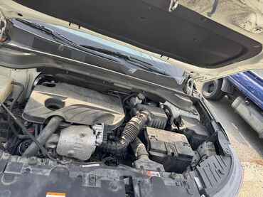 Ssangyong: Ssangyong Korando: 2019 г., 1.6 л, Автомат, Дизель, Кроссовер — 23