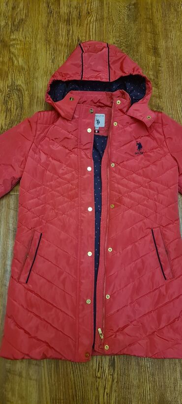 polo одежда: Куртка US POLO весна осень, оригинал на 11-12 лет на 75 см, с