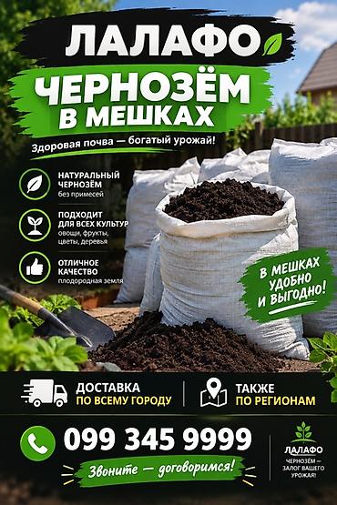 купить комнатные цветы в бишкеке дёшево: ЧЕРНОЗЁМ В МЕШКАХ — ДОСТАВКА ДО ВАС! 🌱 Продаём качественный чернозём — 1
