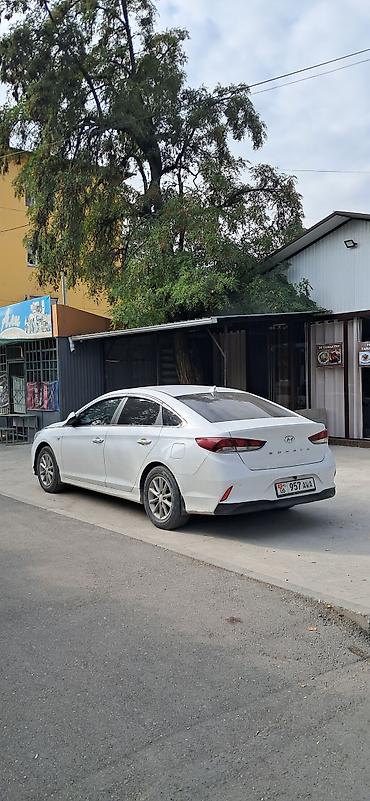 r18 22545: Hyundai Sonata: 2018 г., 2 л, Автомат, Газ, Седан — 4