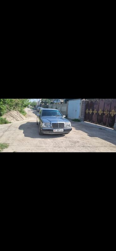 купить мерседес 124 в литве: Mercedes-Benz W124: 1992 г., 3 л, Автоматтык, Бензин, Седан
