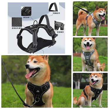 Продажа собак: ПРОДАЮ ШЛЕЙКИ ДЛЯ КОШЕК И СОБАК,ПОВОДКИ/РУЛЕТКИ,ЛЕЖАНКИ,МАШИНКИ ДЛЯ — 14