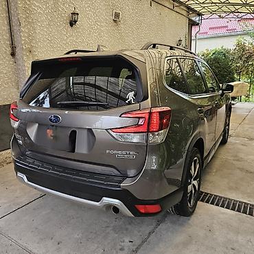 Subaru: Subaru Forester: 2020 г., 2.5 л, Автомат, Бензин, Кроссовер — 3